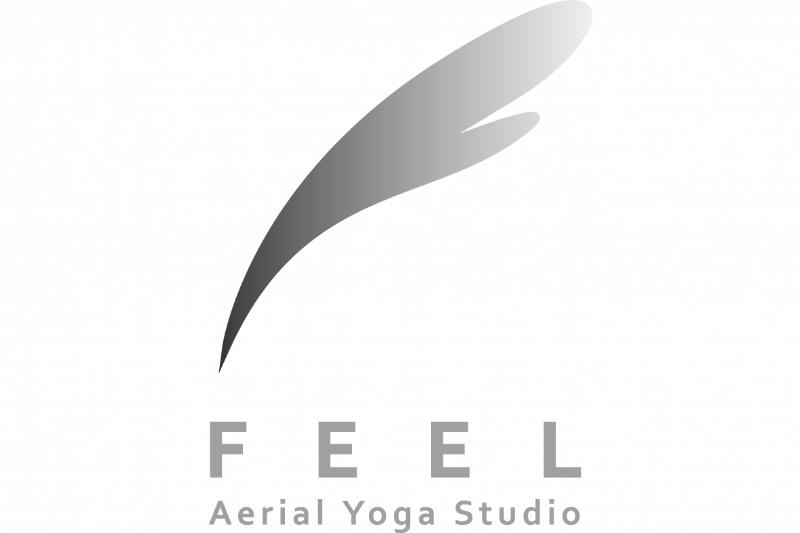 Aerial Yoga & Social Dance Studio FEEL